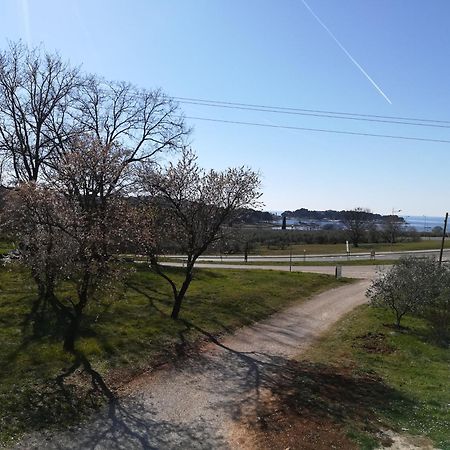 Guesthouse Porec Bagian luar foto